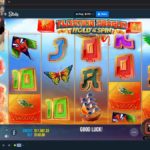 Should Tim Ross Make a Documentary on Live Casino Streaming?